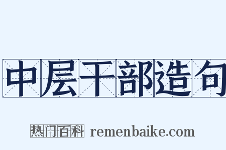 中层干部造句是什么意思的图片